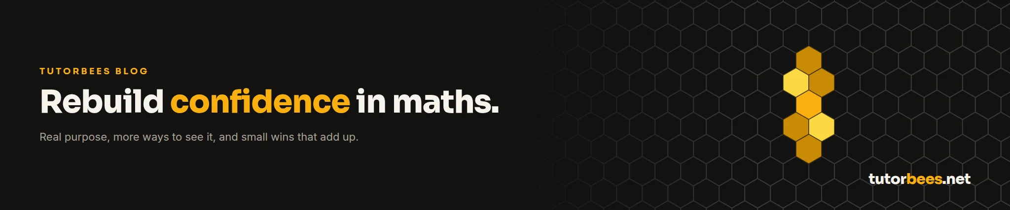 Rebuild confidence in maths: TutorBees blog banner